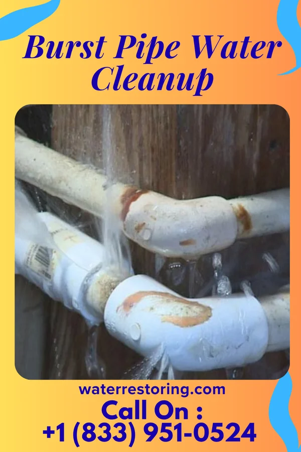 Burst Pipe Water Cleanup in Penndel, PA