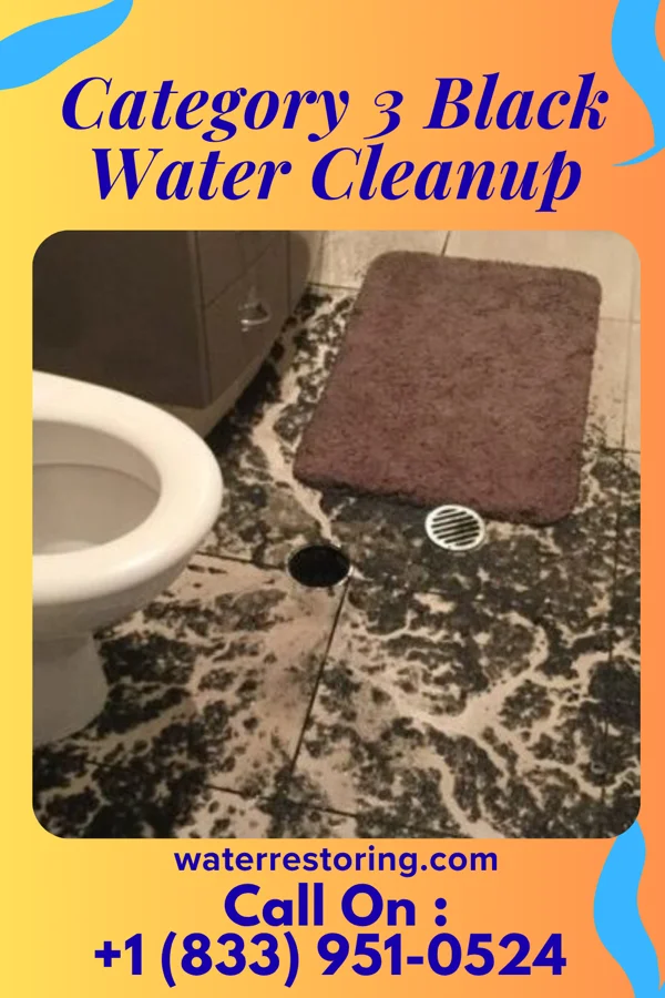 Category 3 Black Water Cleanup in Penndel, PA