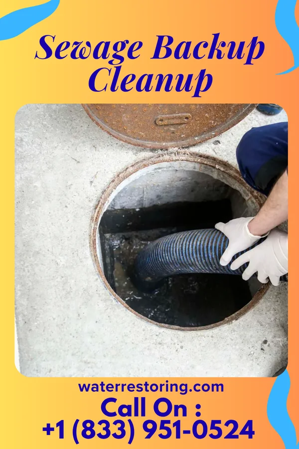 Sewage Backup Cleanup in Penndel, PA