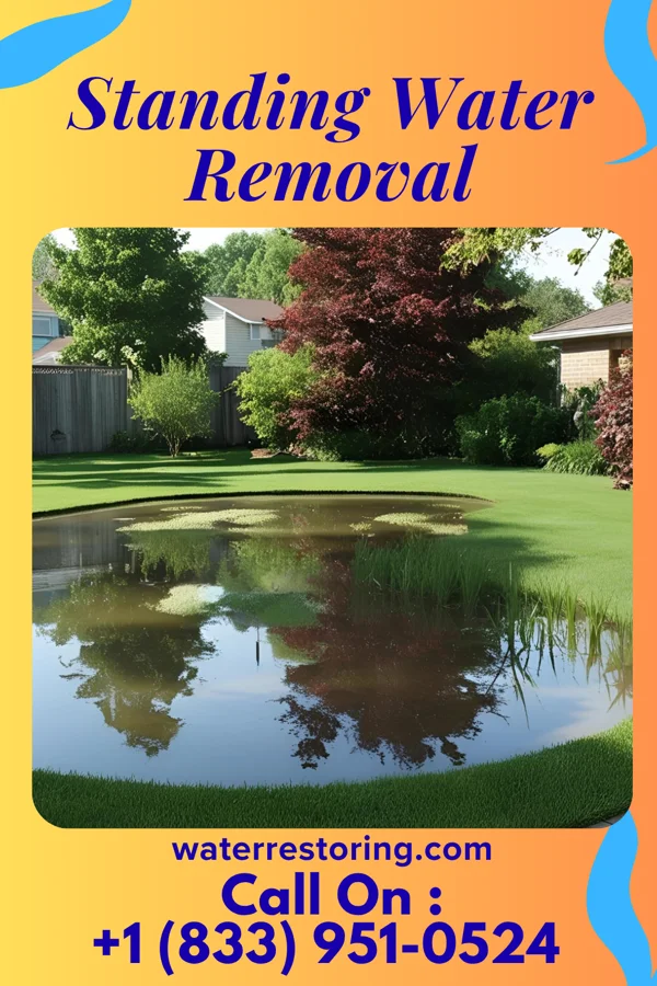 Standing Water Removal in Penndel, PA